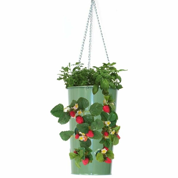 Superherostuff Enameled Galvanized Steel Strawberry Herb & Floral Hanging Planter Sage PA2431745
